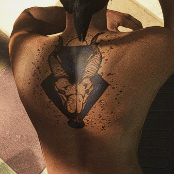 Tatoo 12 M