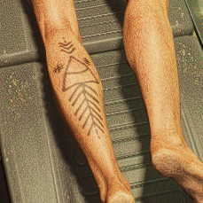 Charme tribal