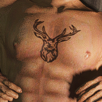 Cerf